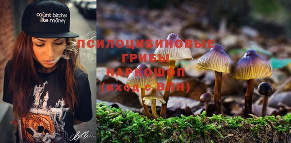 каннабис Ельня