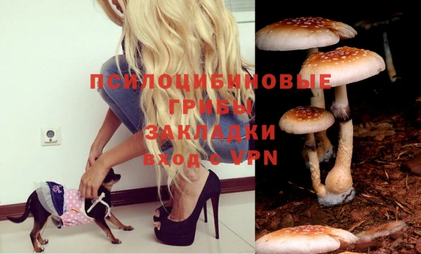 каннабис Ельня