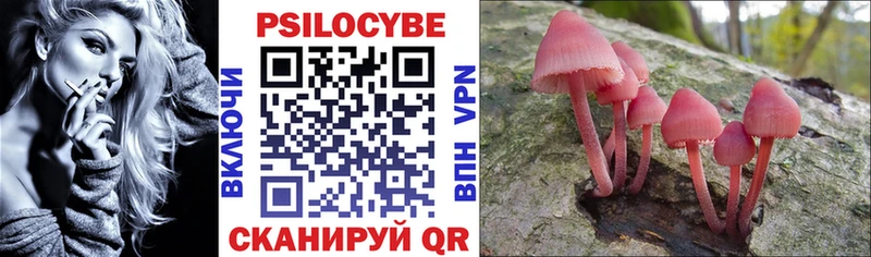 Псилоцибиновые грибы Psilocybine cubensis  Купить  Ветлуга 